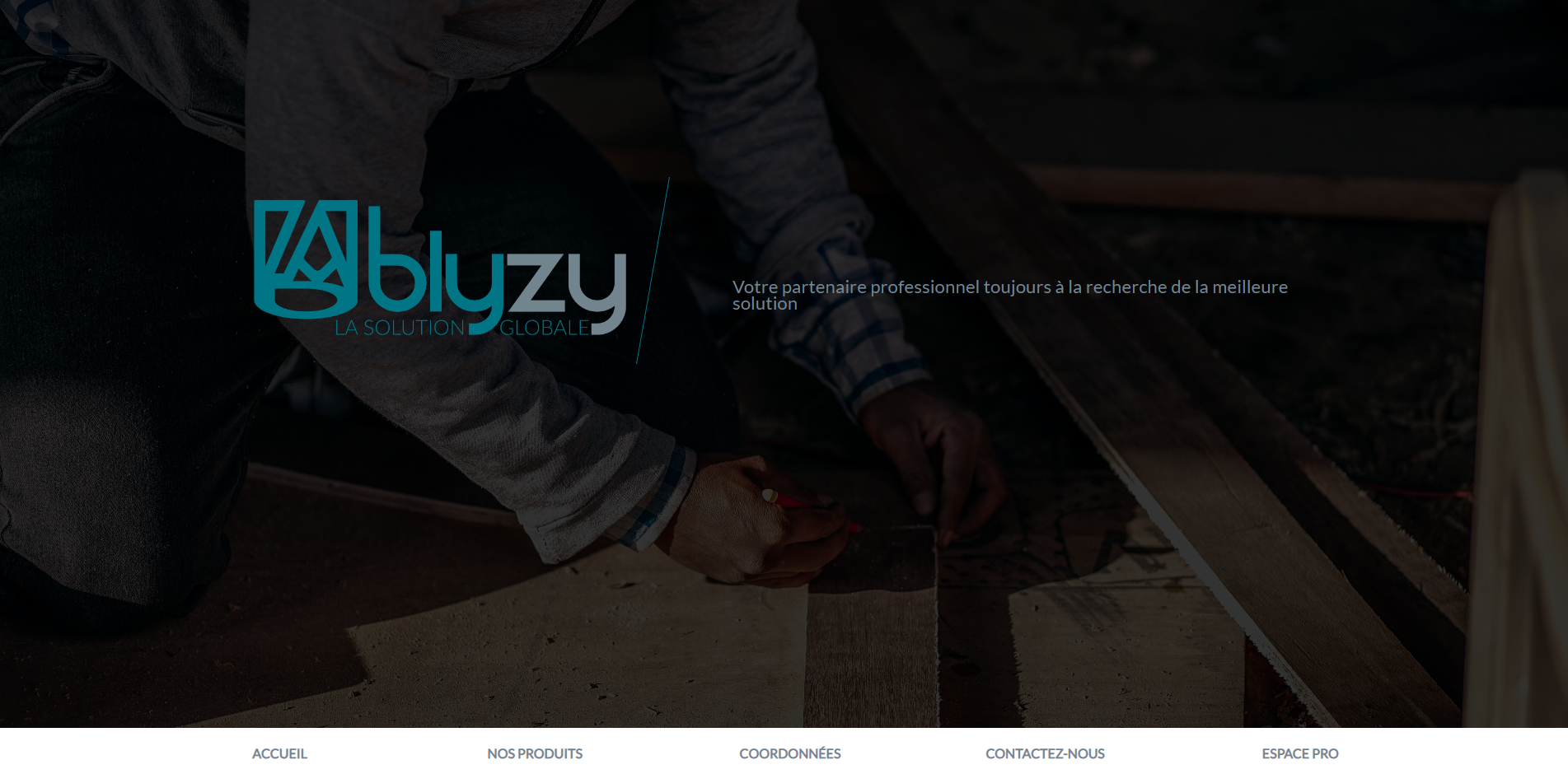 blyzy site illu